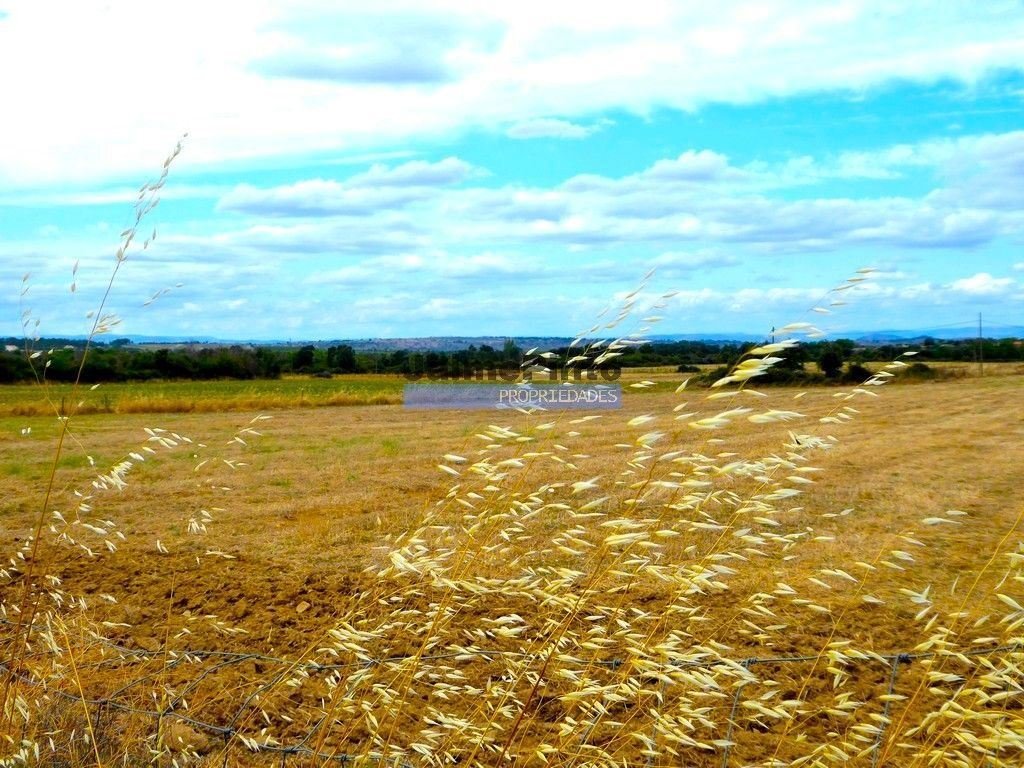 Land in Figueira de Castelo Rodrigo, Guarda District, Portugal 1 - 12453480