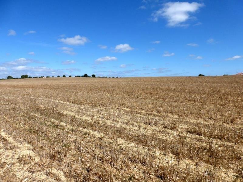 Santarem Farmhouse In Santarem, Santarém District, Portugal For Sale