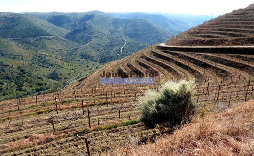 Terreno a Figueira de Castelo Rodrigo, Distretto di Guarda, Portogallo 1