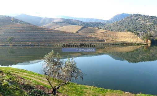 Land in Sao Joao da Pesqueira e Varzea de Trevoes, Viseu District, Portugal 1