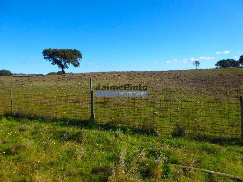 Cuba Land In Cuba, Beja District, Portugal For Sale (12453458)