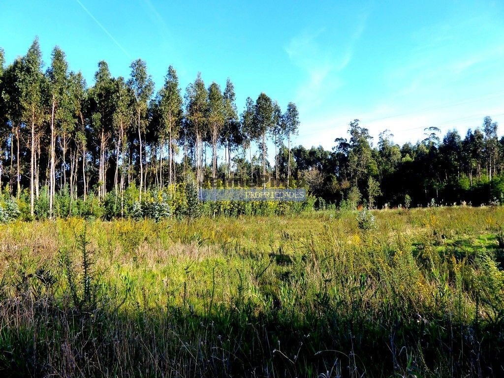 Land in Cacia, Aveiro District, Portugal 1 - 12453061