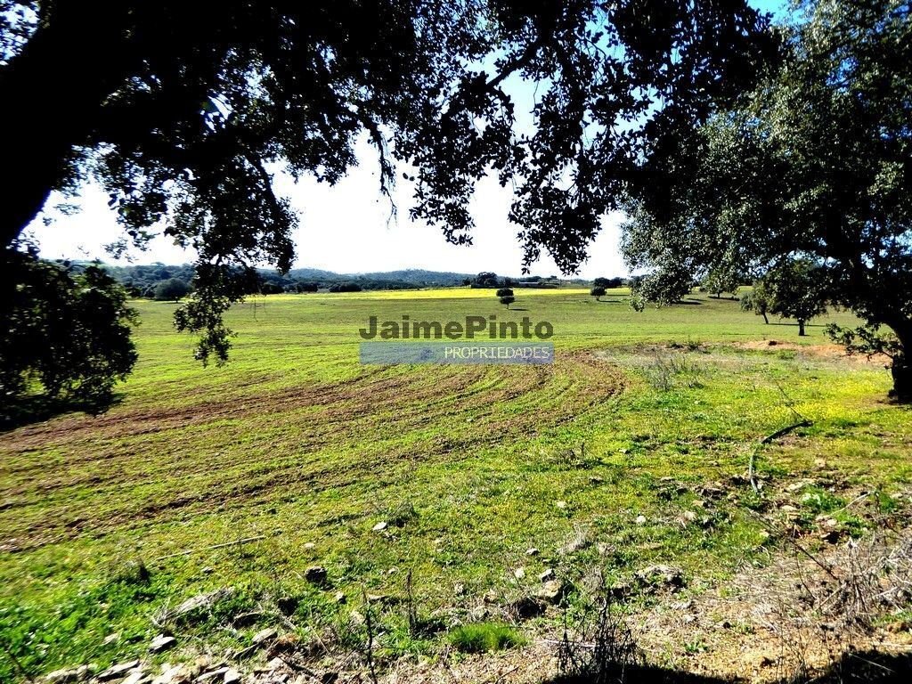 Cuba Land In Cuba, Beja District, Portugal For Sale (12453458)
