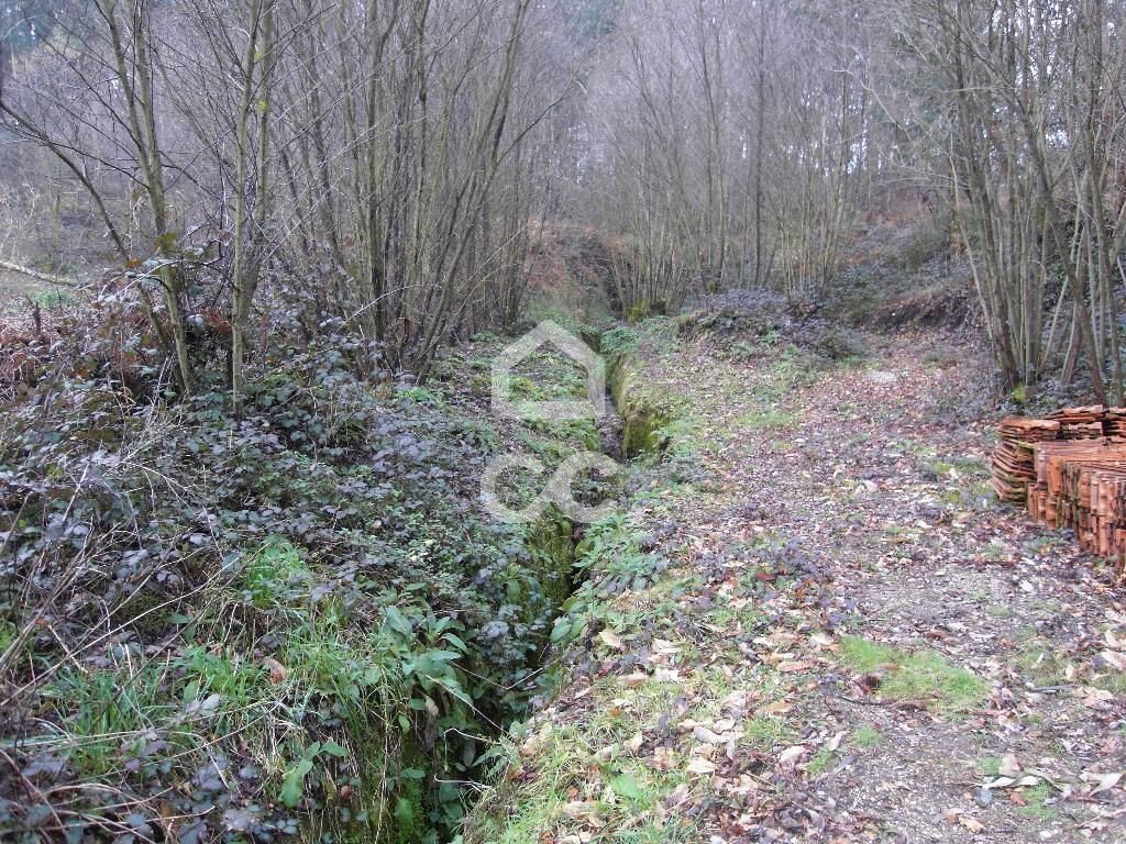 Terreno en Infantas, Braga, Portugal 4 - 12451735