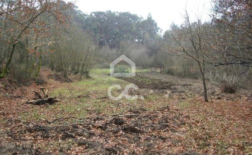 Land in Infantas, Braga, Portugal 1