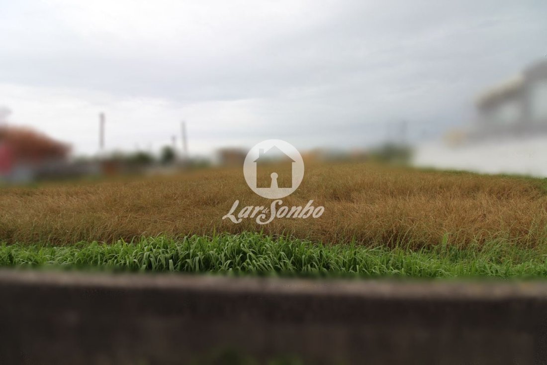 Land in Mindelo, Distrikt Porto, Portugal 1 - 12452988