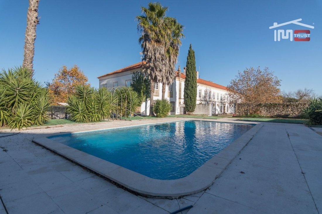 Farm Ranch in Carregueiros, Santarem District, Portugal 2 - 12451856