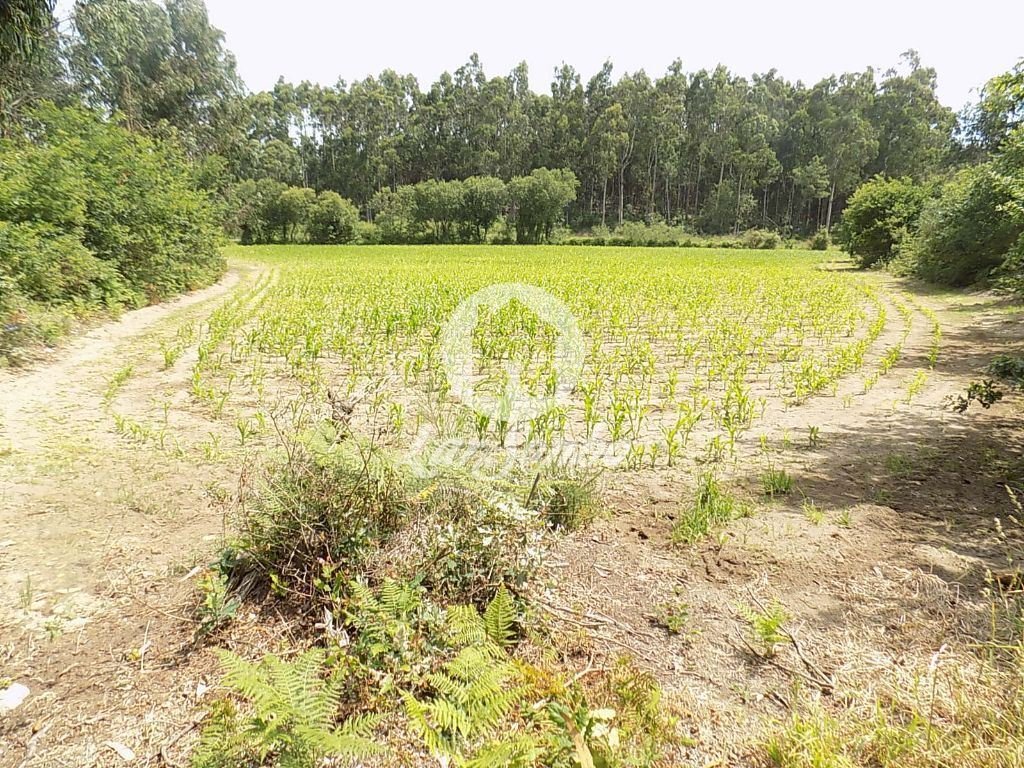 Land in Povoa de Varzim, Beiriz e Argivai, Porto District, Portugal 1 - 12453250