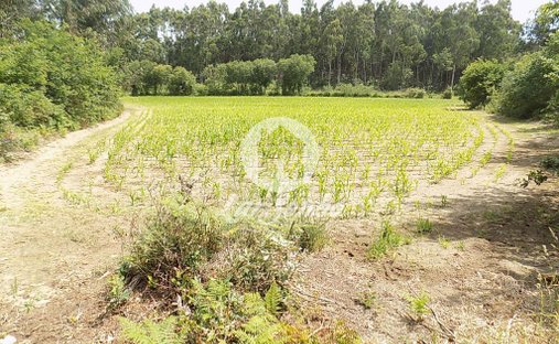 Land in Povoa de Varzim, Beiriz e Argivai, Porto District, Portugal 1