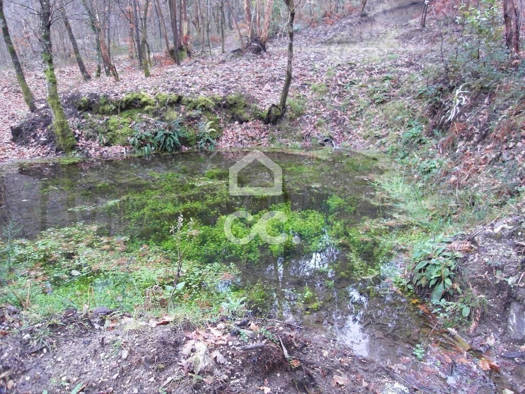 Terreno en Infantas, Braga, Portugal 3 - 12451735