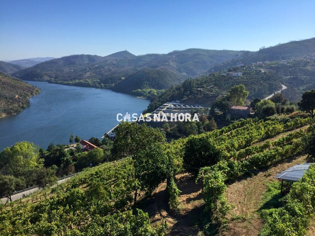 Castelo De Paiva Farm In Paraíso, Aveiro District, Portugal For Sale