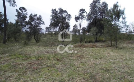 Land in Moreira de Conegos, Braga, Portugal 1