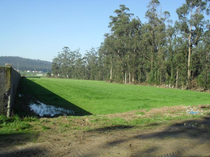 Land in Rates, Porto District, Portugal 2 - 12453172