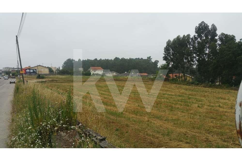 Terrain à Gião, Aveiro, Portugal 1 - 12455010