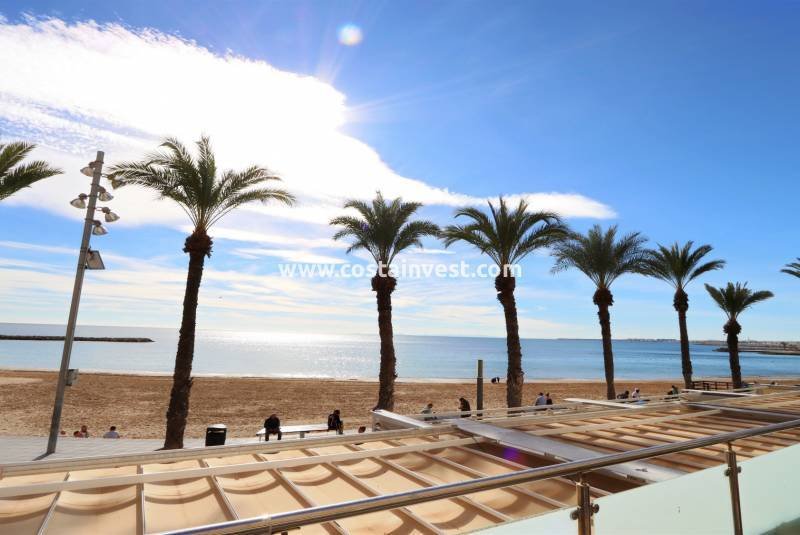 Apartment in Torrevieja, Valencian Community, Spain 3 - 12461037