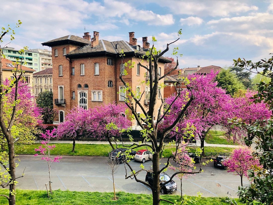 Torino Apartment In Turin, Piedmont, Italy For Sale (12462388)