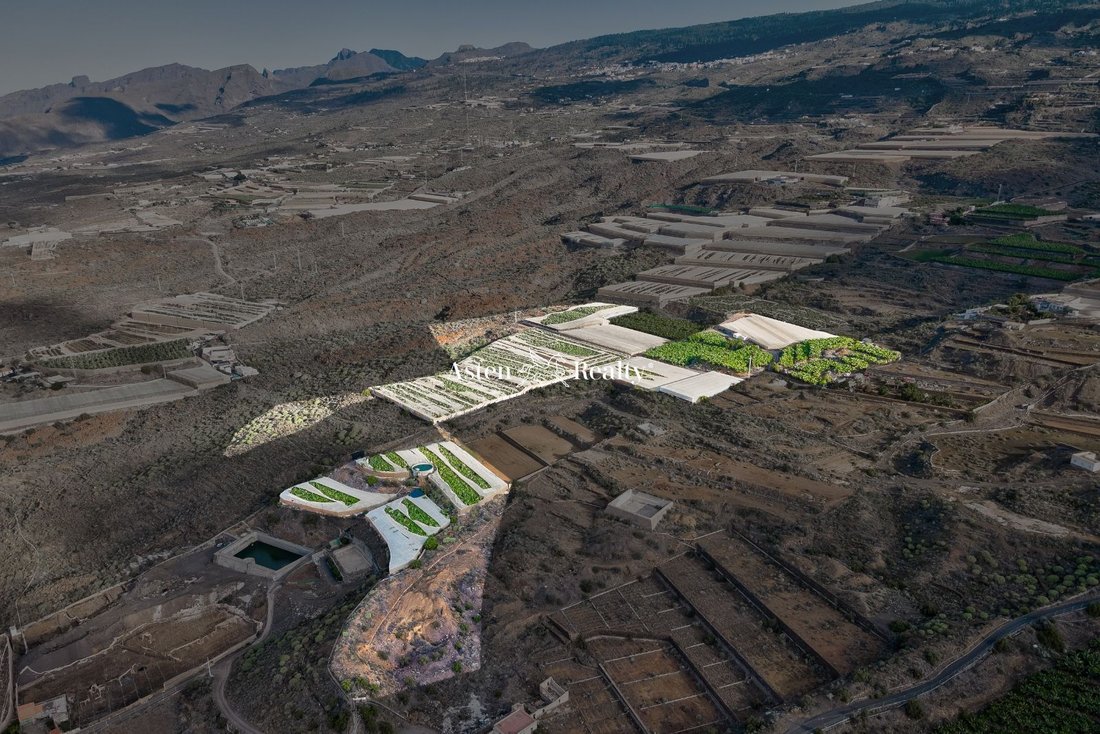 Guia De Isora Finca In Agua Dulce, Canary Islands, Spain For Sale