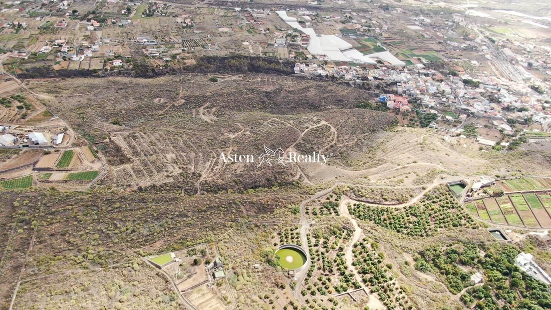 Finca en Güímar, Canarias, España 3 - 12464706