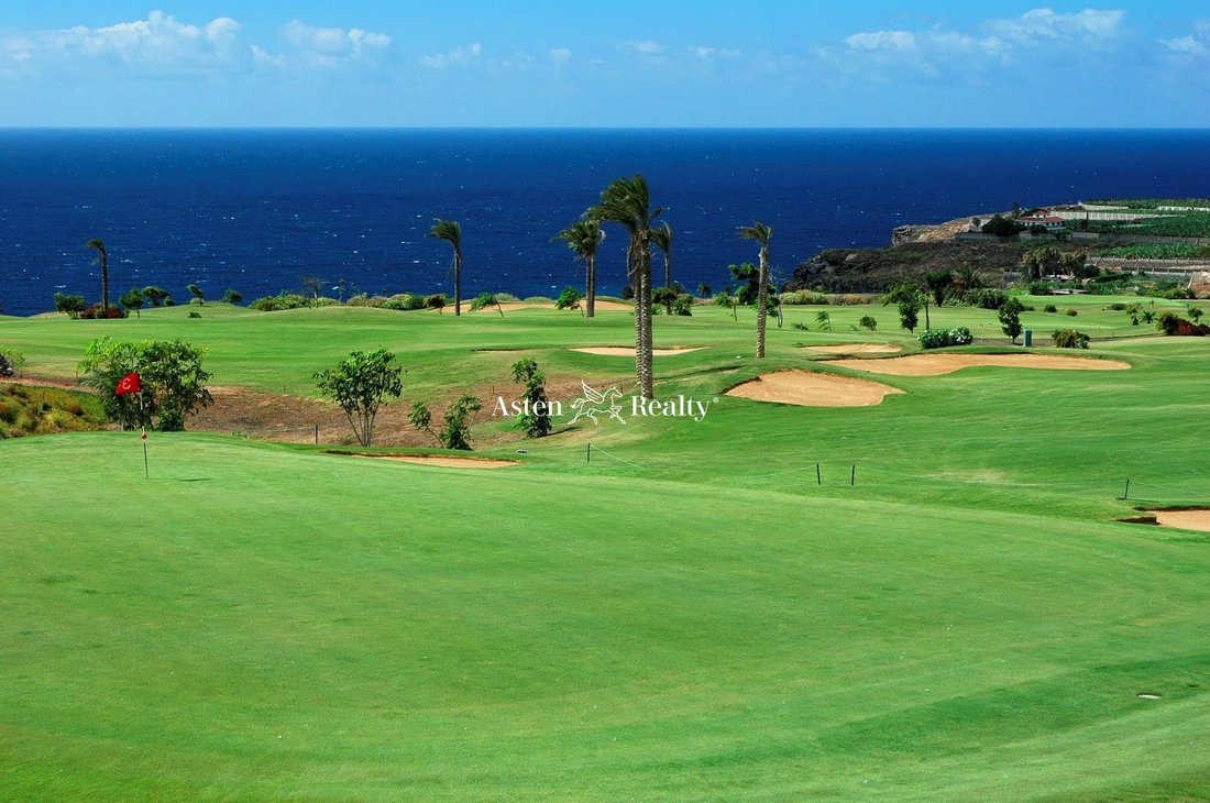 Finca in Guia de Isora, Canary Islands, Spain 2 - 12464578