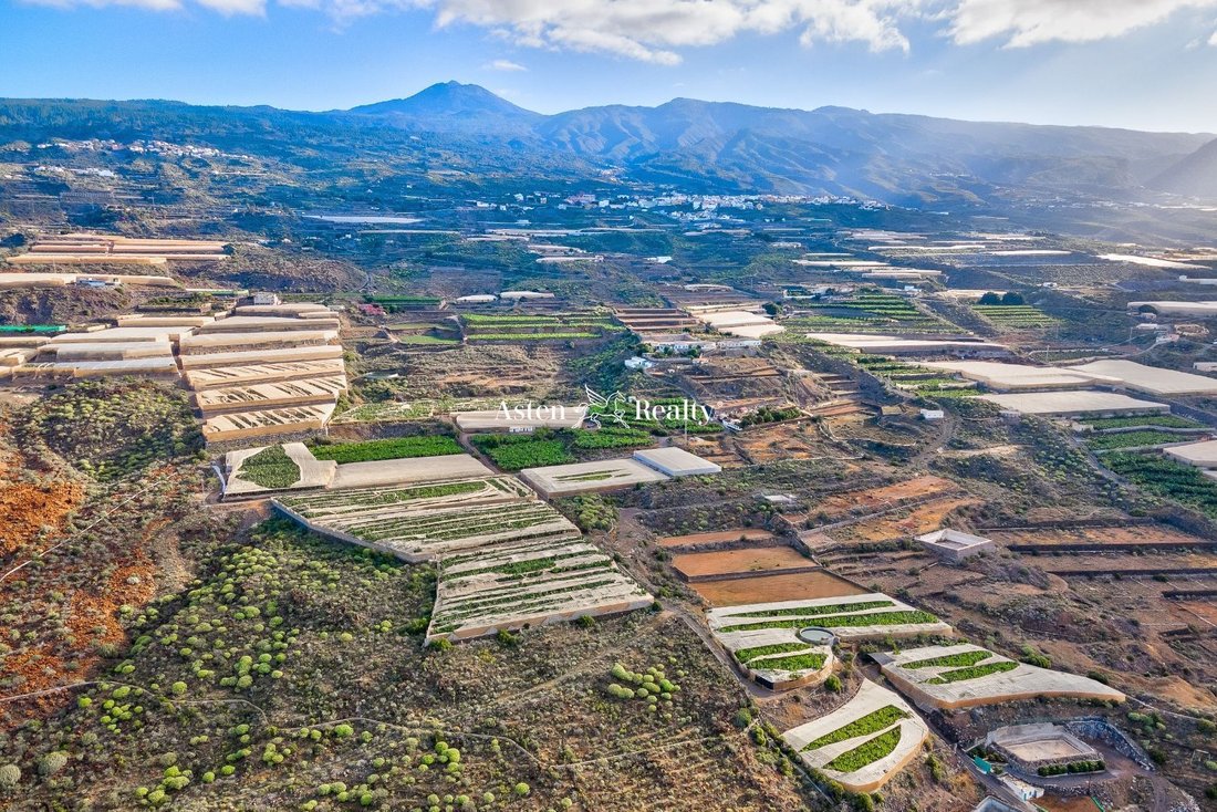 Finca in Guia de Isora, Canary Islands, Spain 2 - 12464461
