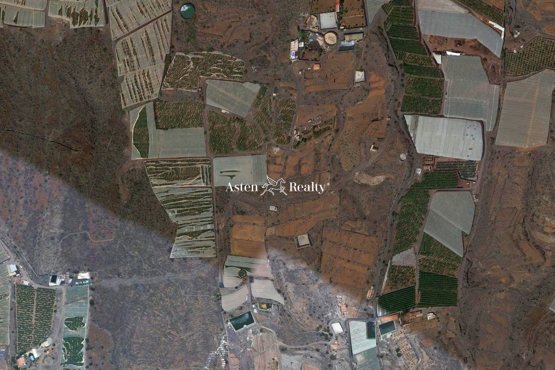 Guia De Isora Finca In Agua Dulce, Canary Islands, Spain For Sale