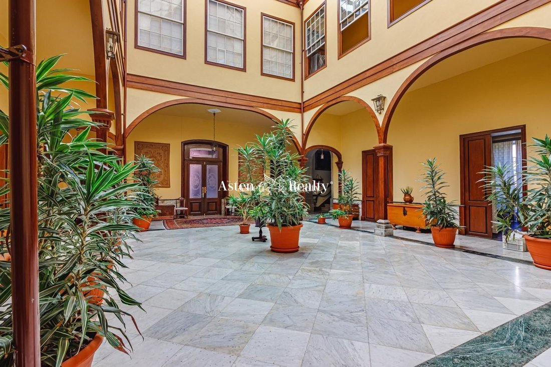 Villa in La Orotava, Canary Islands, Spain 3 - 12464704
