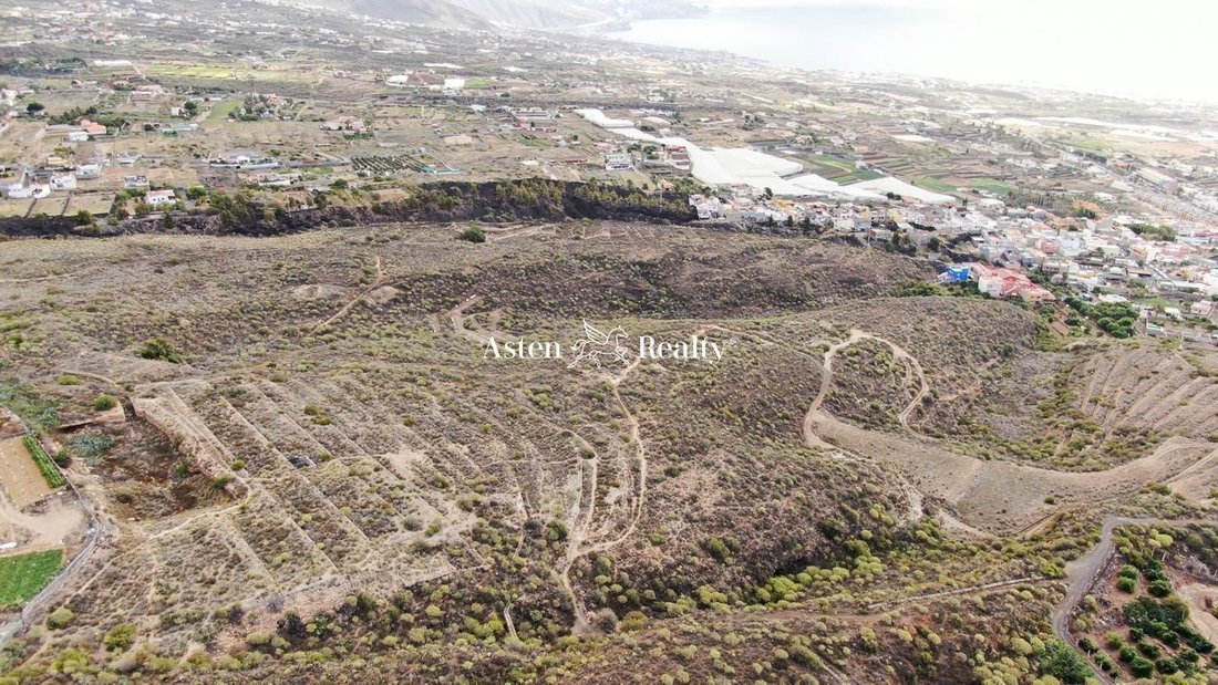 Finca en Güímar, Canarias, España 5 - 12464706