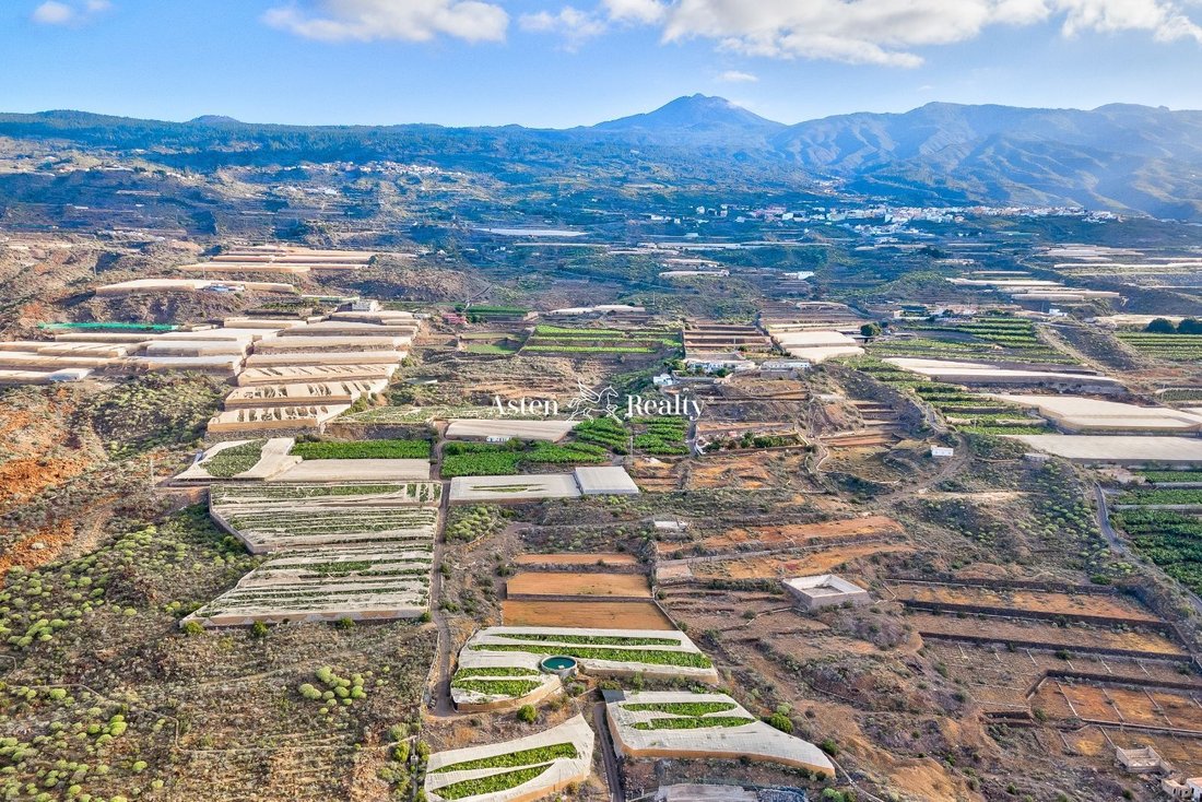 Guia De Isora Finca In Agua Dulce, Canary Islands, Spain For Sale