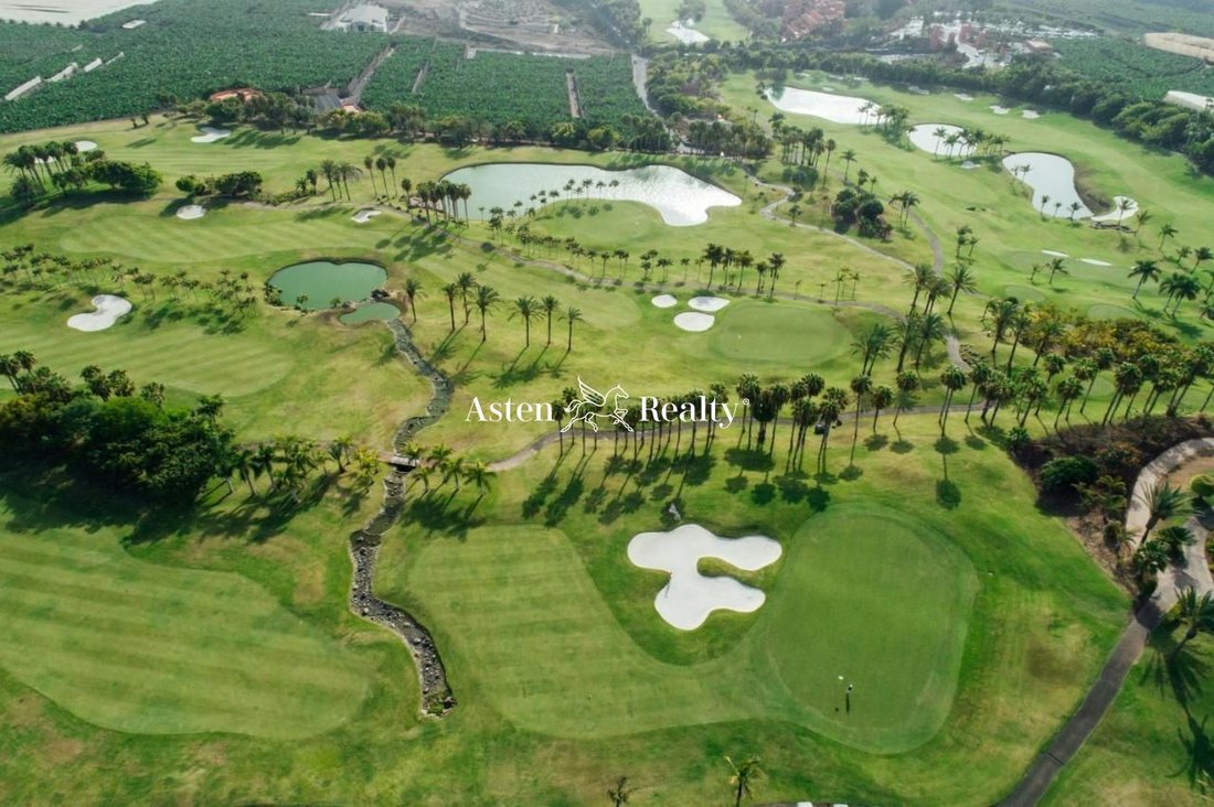 Finca in Guia de Isora, Canary Islands, Spain 1 - 12464578