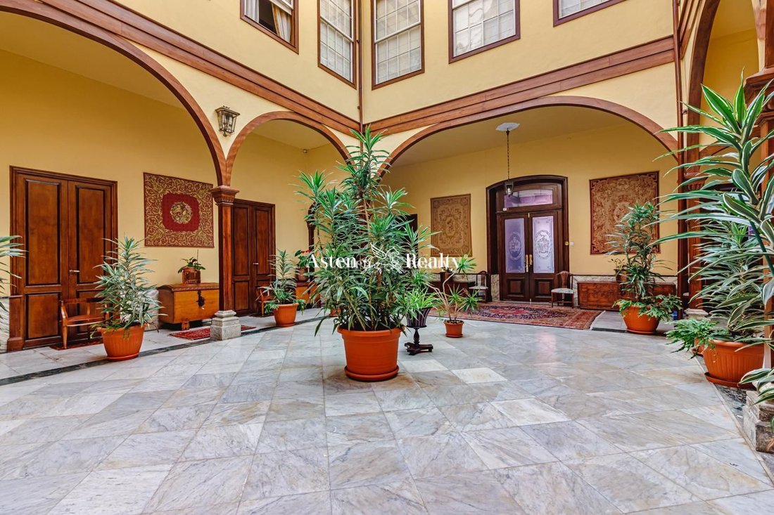 Villa in La Orotava, Canary Islands, Spain 4 - 12464704