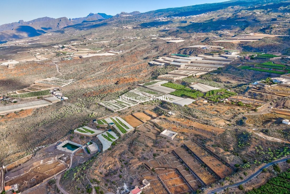 Finca in Guia de Isora, Canary Islands, Spain 3 - 12464461