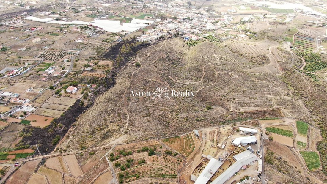 Finca en Güímar, Canarias, España 4 - 12464706