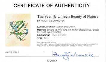 Motiva: The Seen & Unseen Beauty of Nature by Aaron Ciechanover
