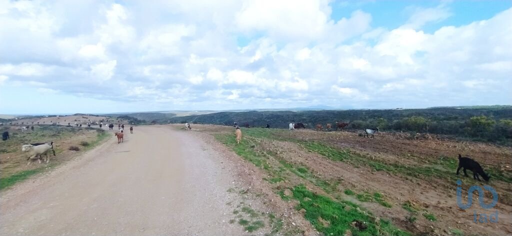 Land in Vila do Bispo e Raposeira, Algarve, Portugal 5 - 12467561