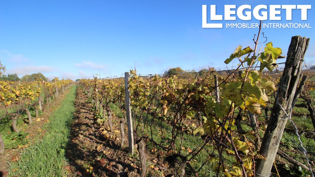 Wine Estate With Its House And Its In Monbazillac, Nouvelle Aquitaine