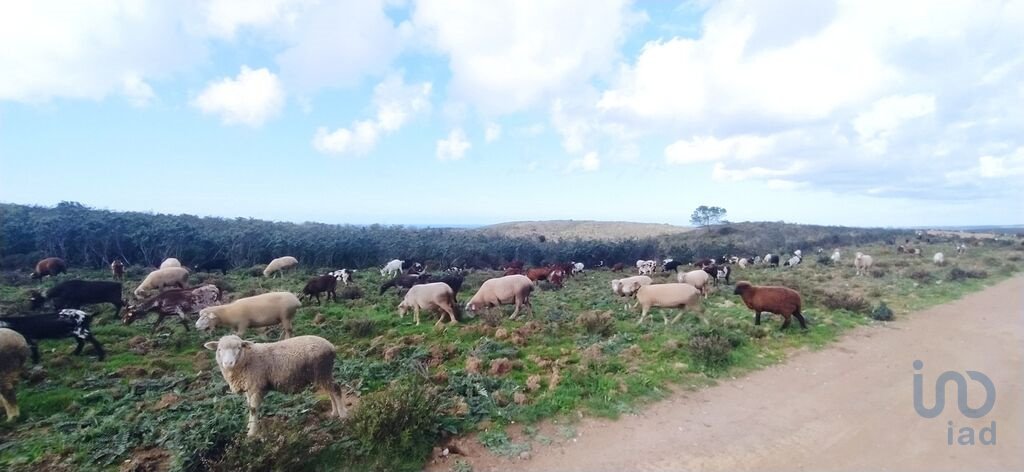 Land in Vila do Bispo e Raposeira, Algarve, Portugal 4 - 12467561