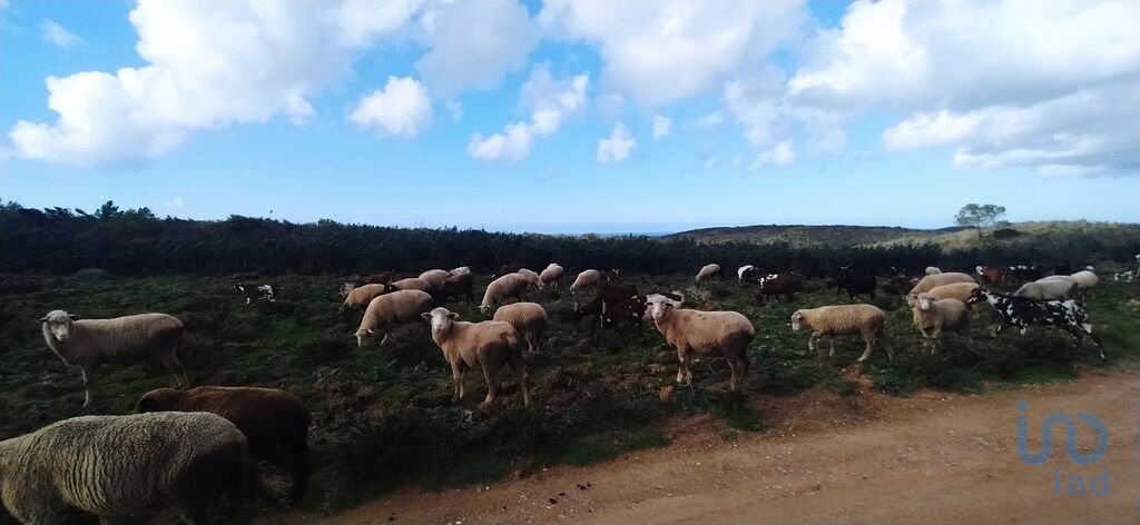 Land in Vila do Bispo e Raposeira, Algarve, Portugal 3 - 12467561