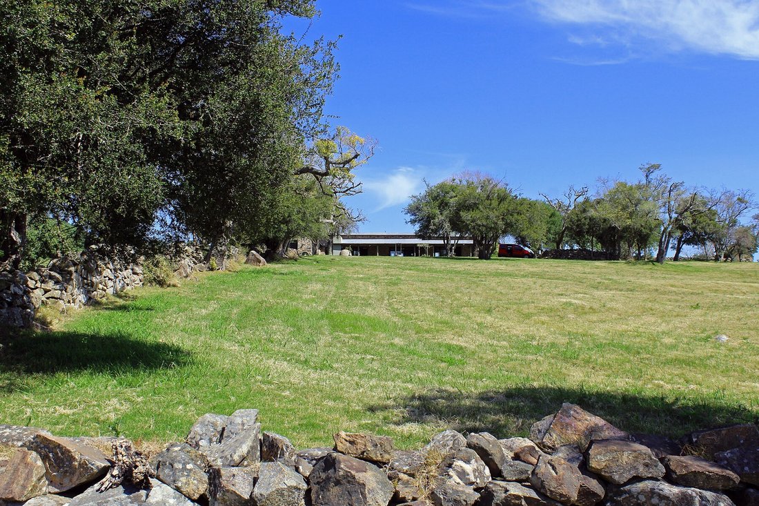 Farm With Olive Groves In Pueblo In San Carlos, Maldonado Department