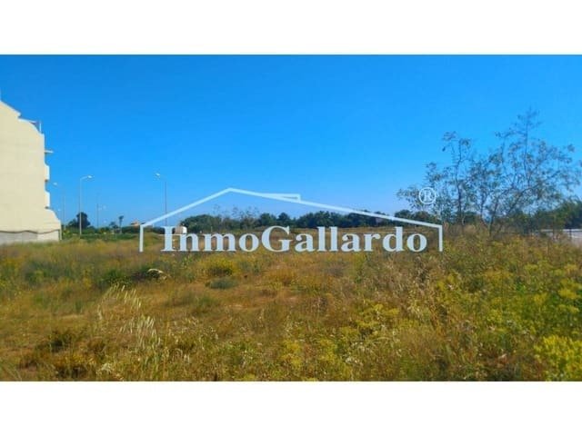 Andere in Torrox, Andalusien, Spanien 2 - 11139872