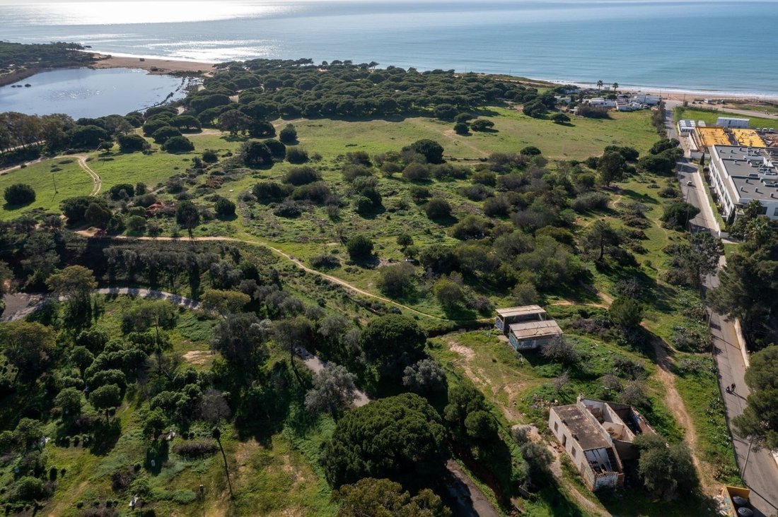 Land in Loule (Sao Clemente), Algarve, Portugal 3 - 12469301