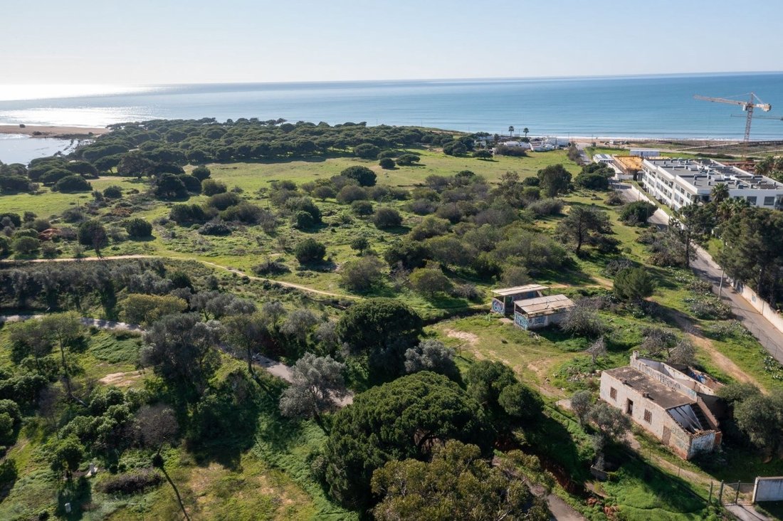 Land in Loule (Sao Clemente), Algarve, Portugal 4 - 12469301