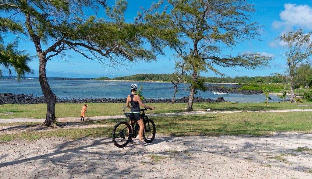 4 Bed Eco Luxury Villa Close In Plaine Magnien, Grand Port District