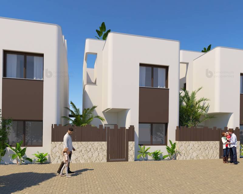 Villa in Pilar de la Horadada, Valencian Community, Spain 2 - 12475722