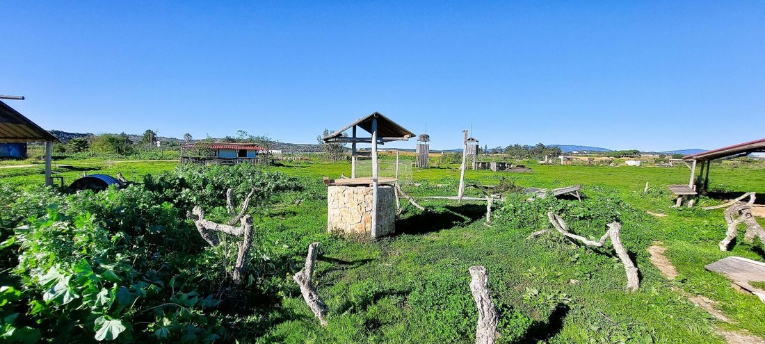 Farm Ranch in Odiaxere, Algarve, Portugal 1 - 12475522
