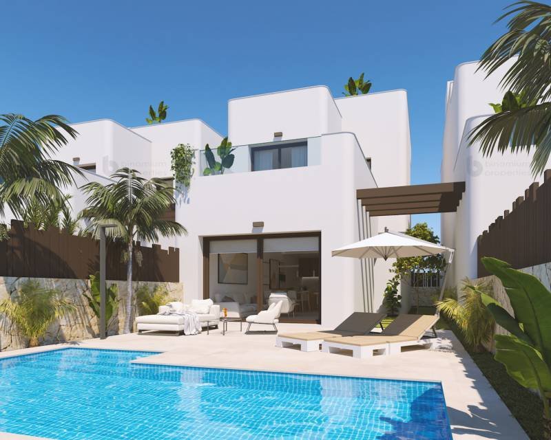 Villa in Pilar de la Horadada, Valencian Community, Spain 1 - 12475722