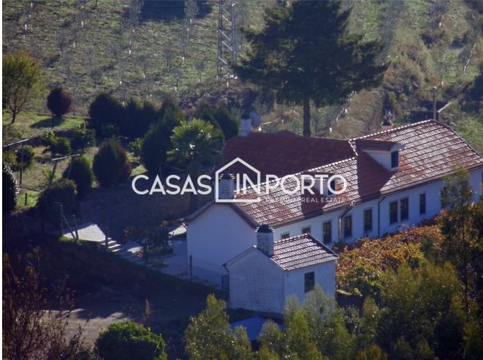 Farm Ranch in Teixeira e Teixeiro, Porto District, Portugal 1 - 12477095