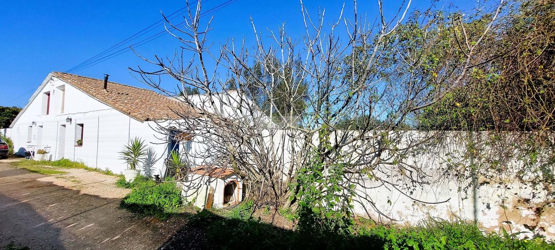 Farm Ranch in Odiaxere, Algarve, Portugal 3 - 12475522
