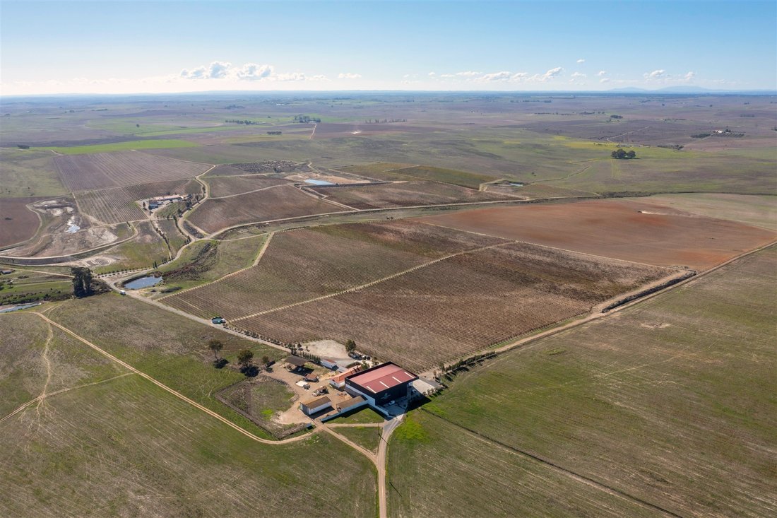 Farm Ranch in Castro Verde e Casevel, Portugal 3 - 12382562