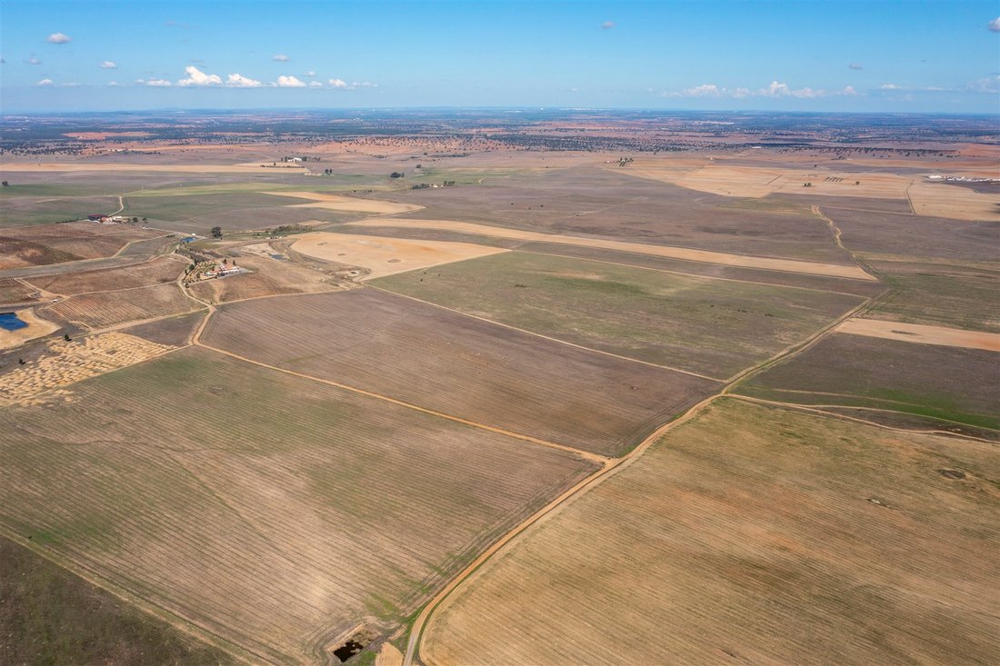 Farm Ranch in Castro Verde e Casevel, Portugal 5 - 12382562