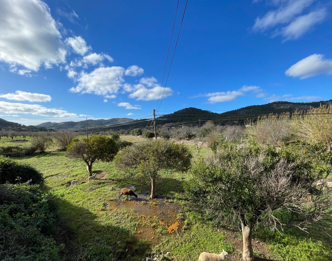 Country House in Andratx, Balearic Islands, Spain 2 - 12481809